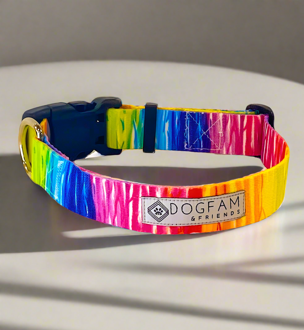 LOVE to Pawty Dog Collar