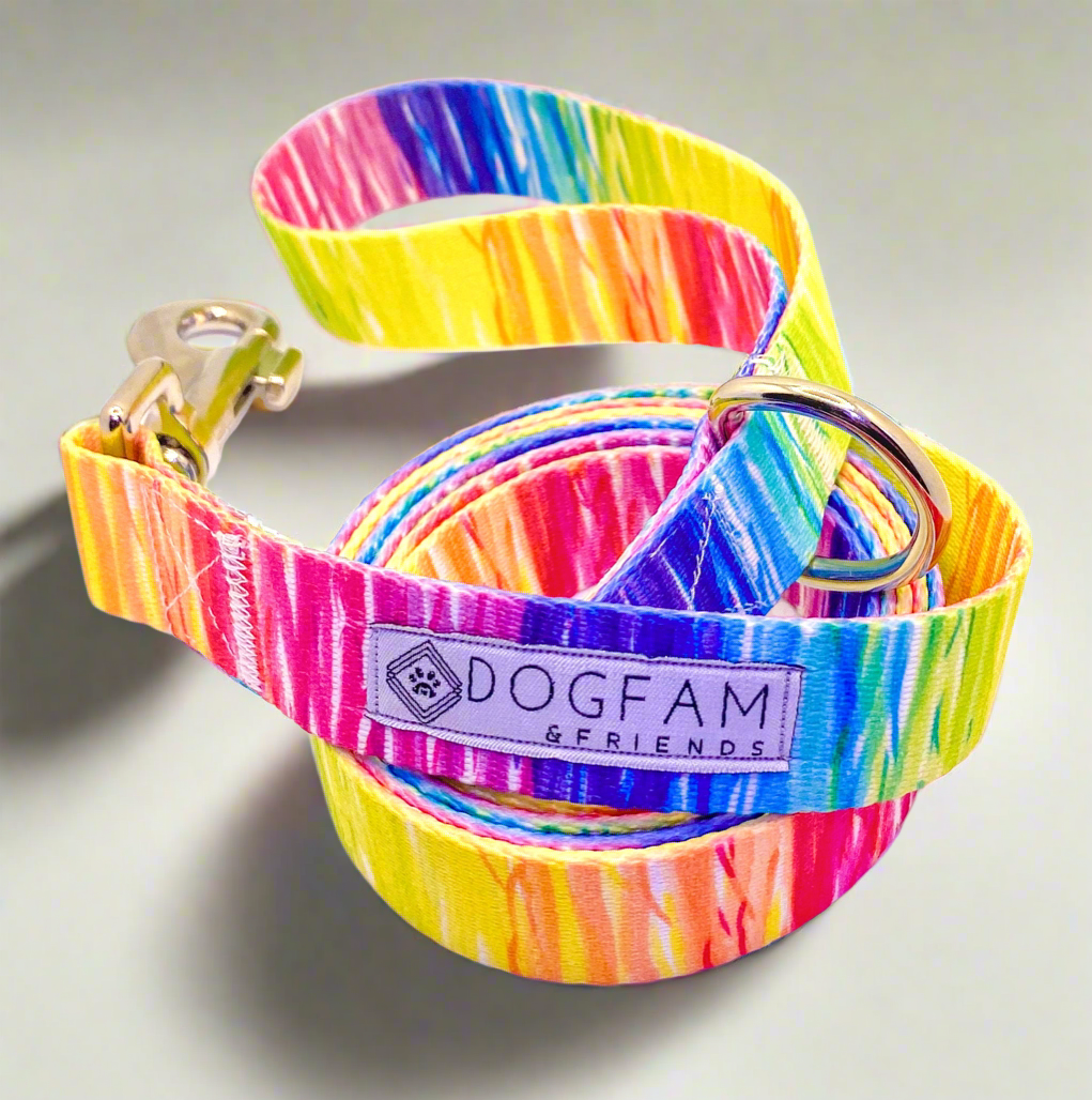 LOVE to Pawty Dog Leash