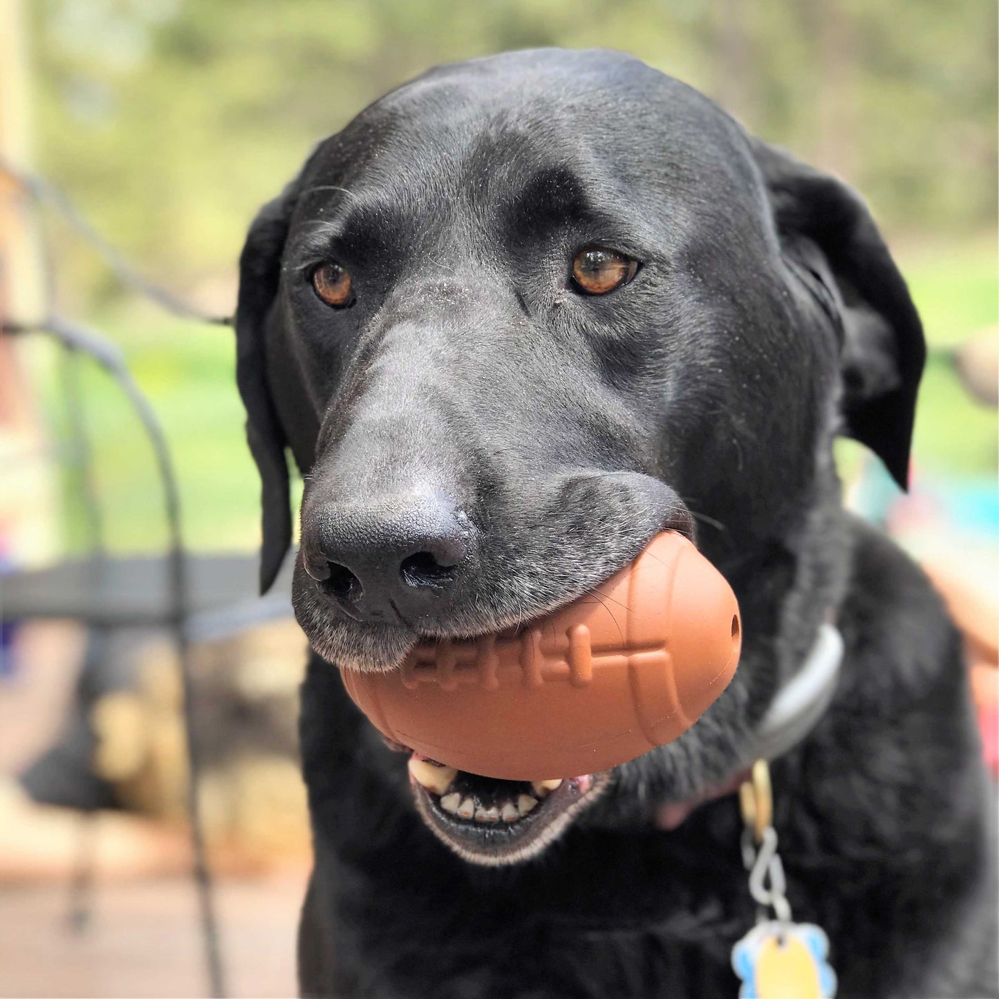 MKB Football - Chew Toy - Treat Dispenser - Large: Large