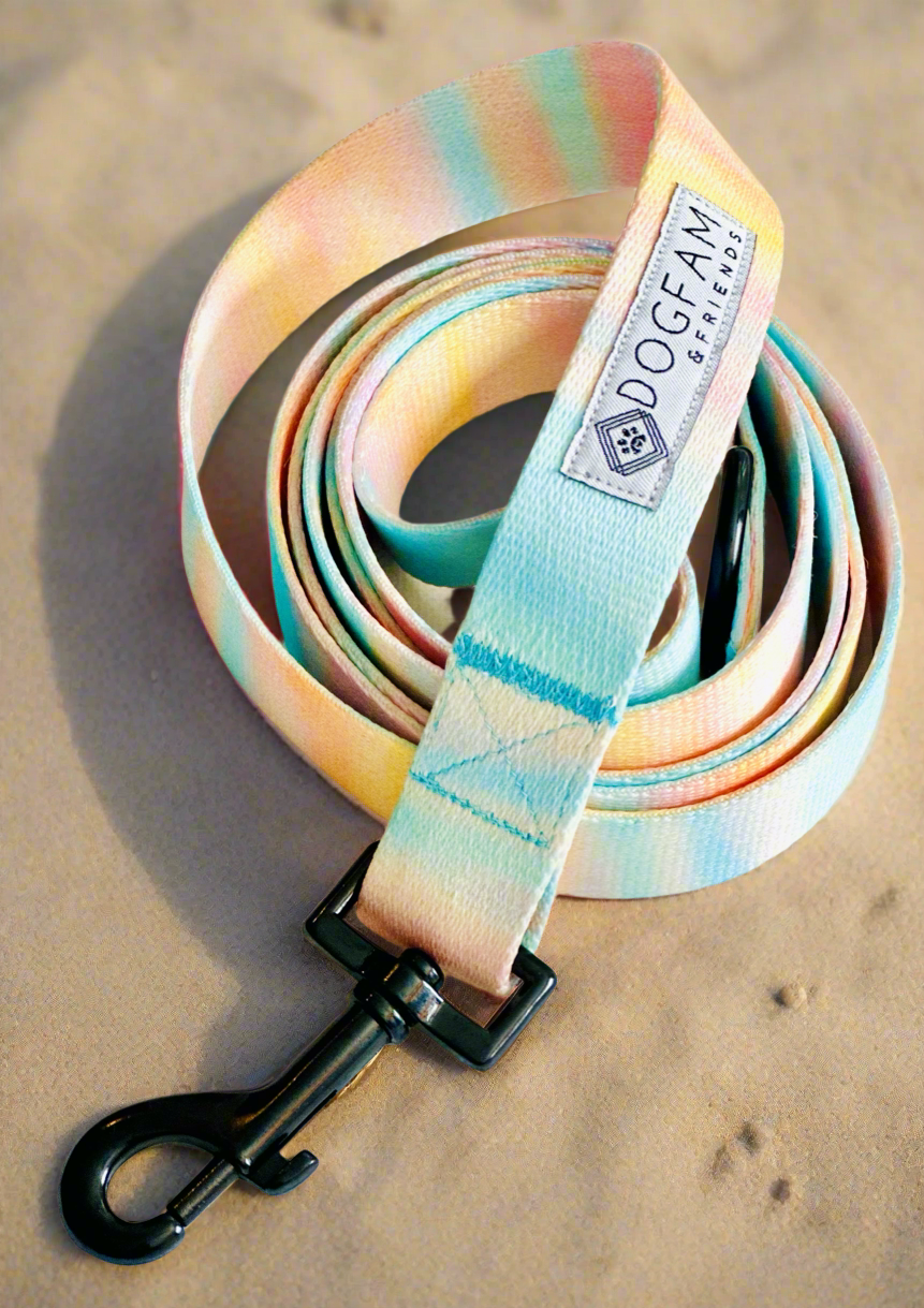 Sunset Daydream Leash