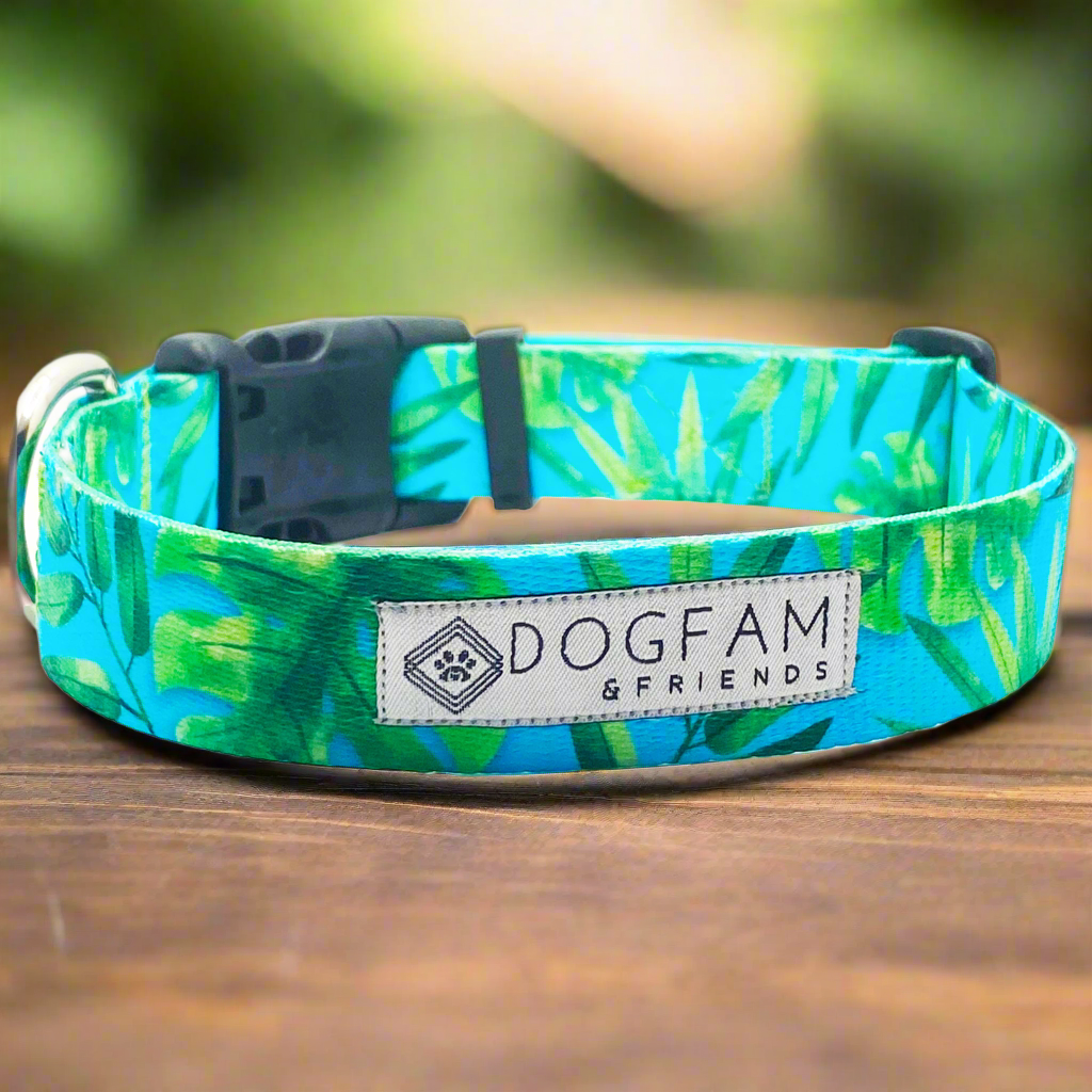 Don't Stop Be Leafin Dog Collar