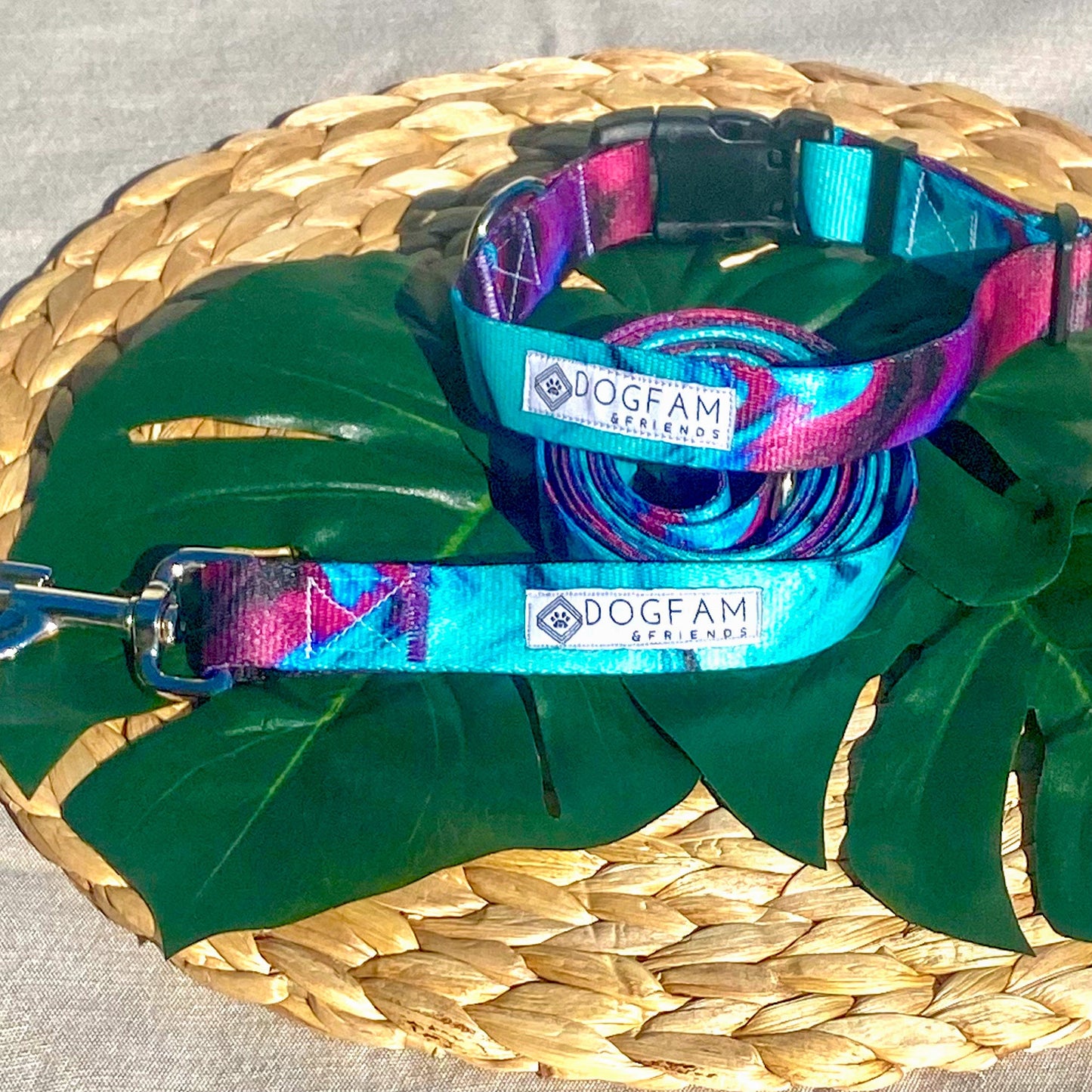 Purple Dream Dog Leash