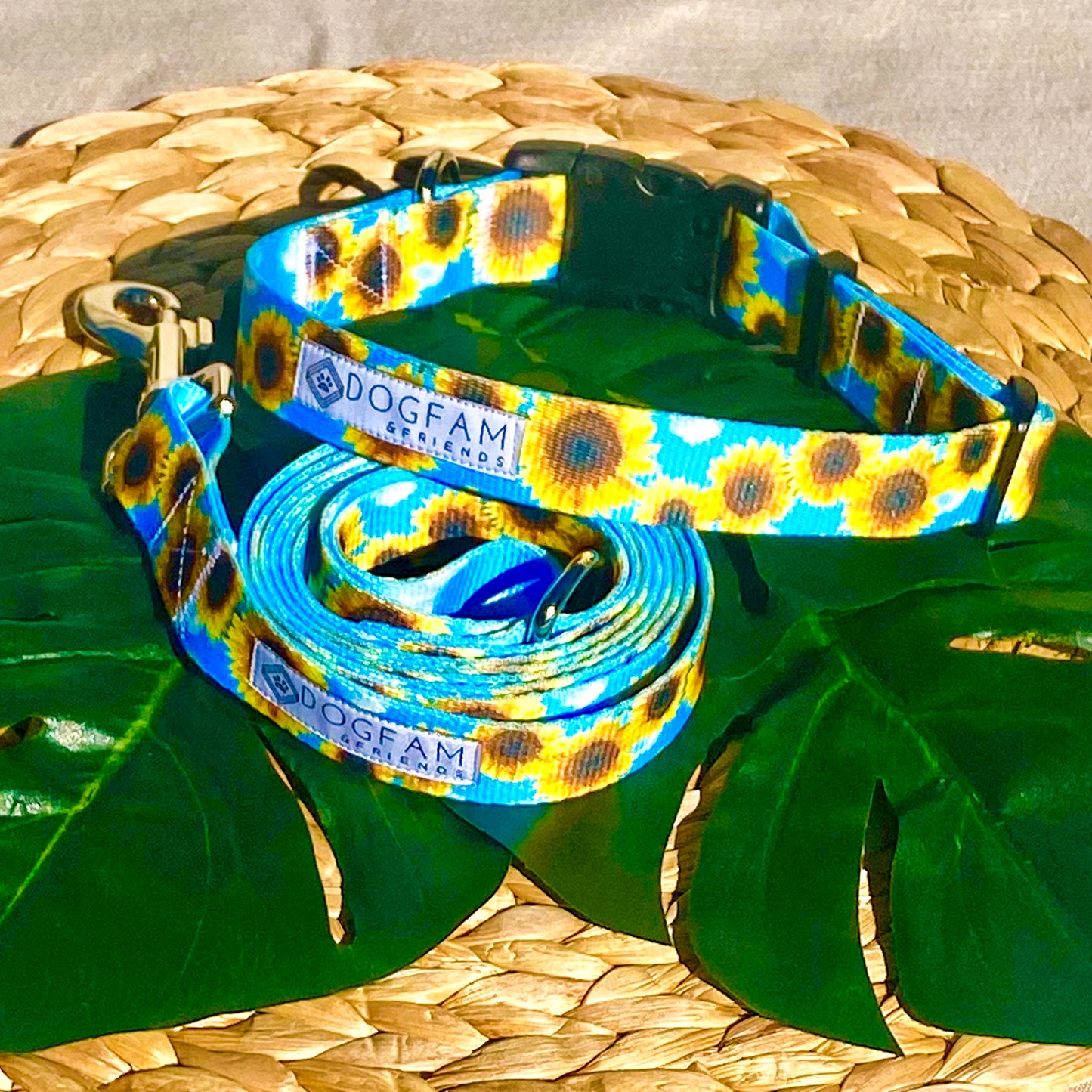 Sunflower Meadows Collar