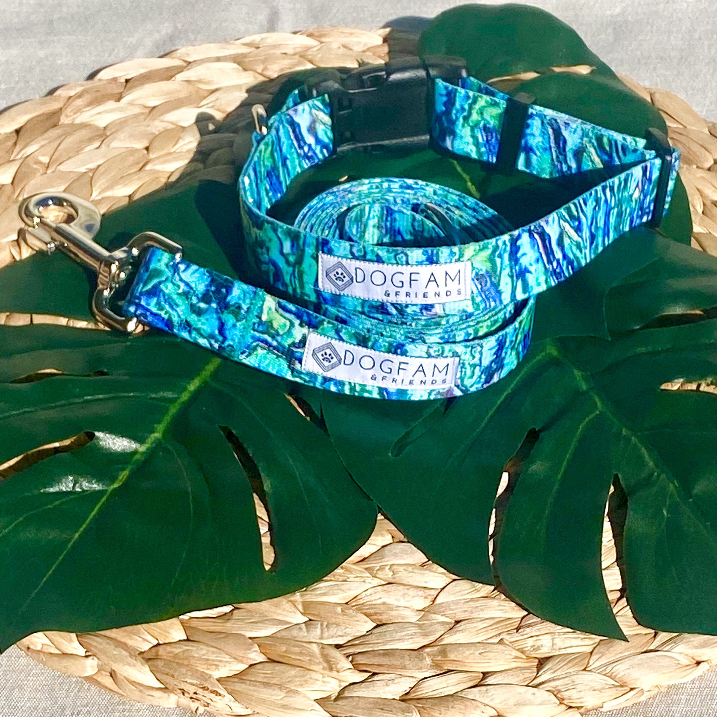Abalone Collar
