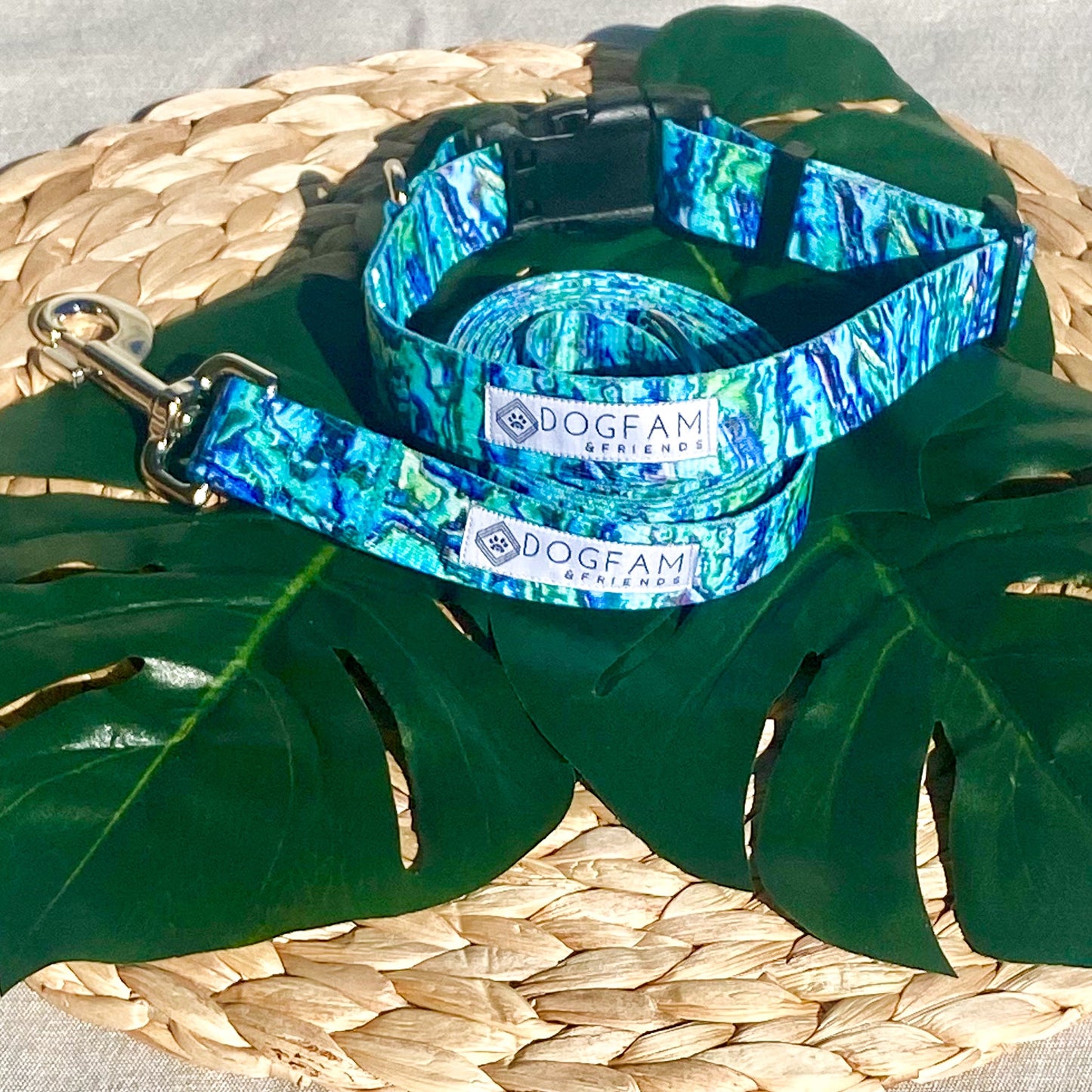 Abalone Dog Leash