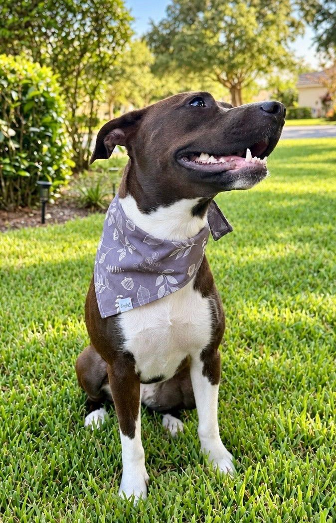 Midnight Botanicals | Fall Dog Bandana