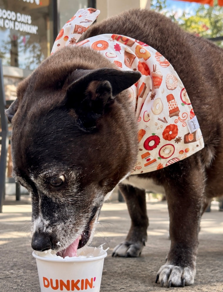 Pumpkin Spice Pup Dog Bandana | Fall Dog Bandana