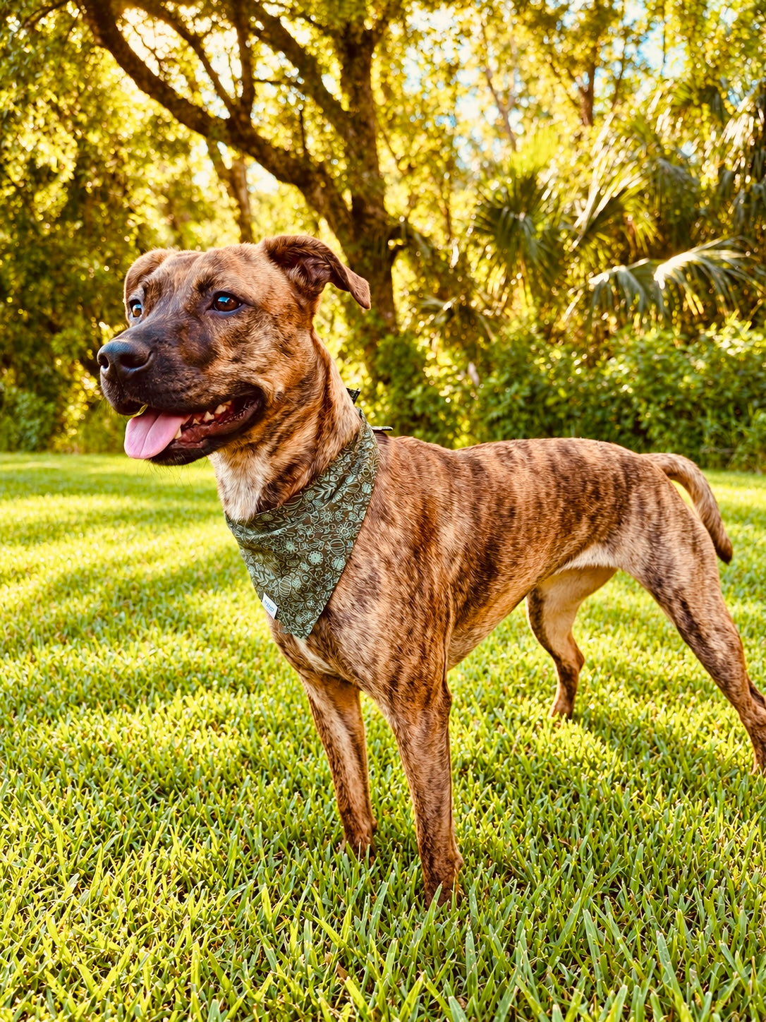 Autumn Wildflowers Reversible Dog Bandana | 2-in-1 Fall Dog Bandana