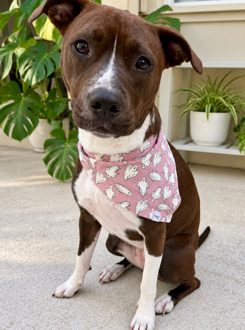 Friendly Spirits Dog Bandana | Halloween Dog Bandana