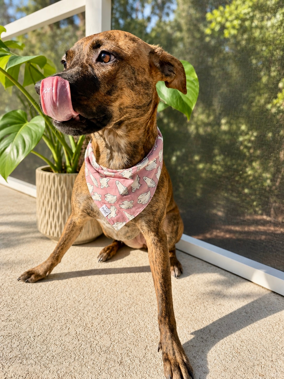 Friendly Spirits Dog Bandana | Halloween Dog Bandana