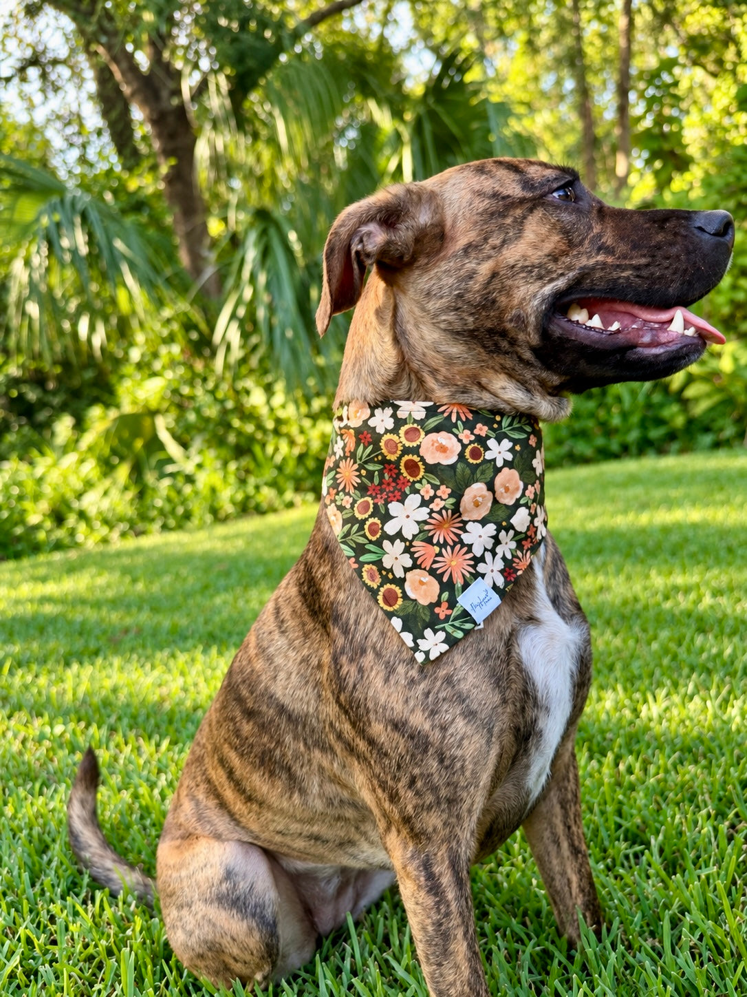 Autumn Wildflowers Reversible Dog Bandana | 2-in-1 Fall Dog Bandana
