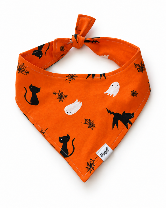 Fraidy Cat Dog Bandana | Halloween Dog Bandana