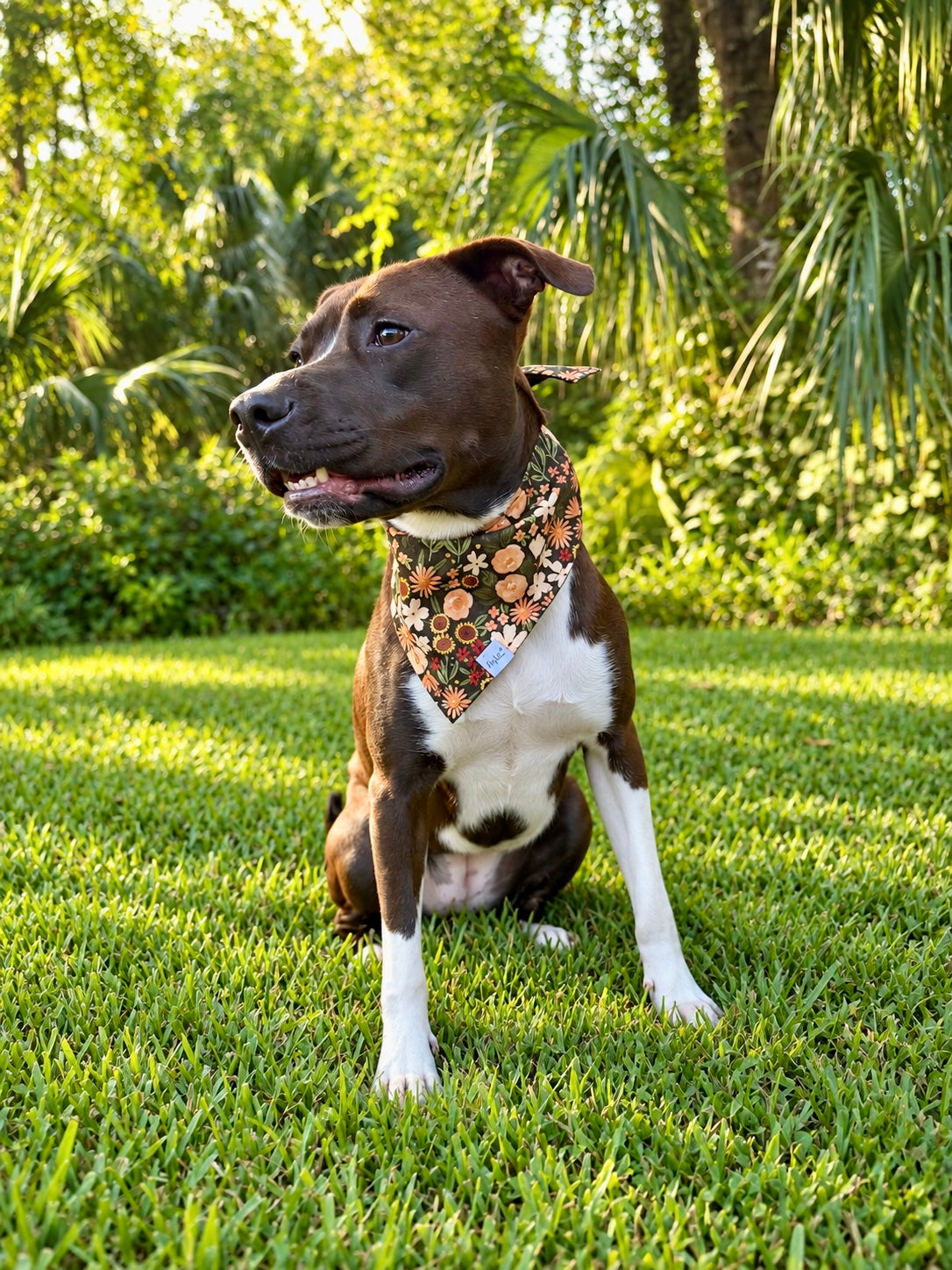 Autumn Wildflowers Reversible Dog Bandana | 2-in-1 Fall Dog Bandana