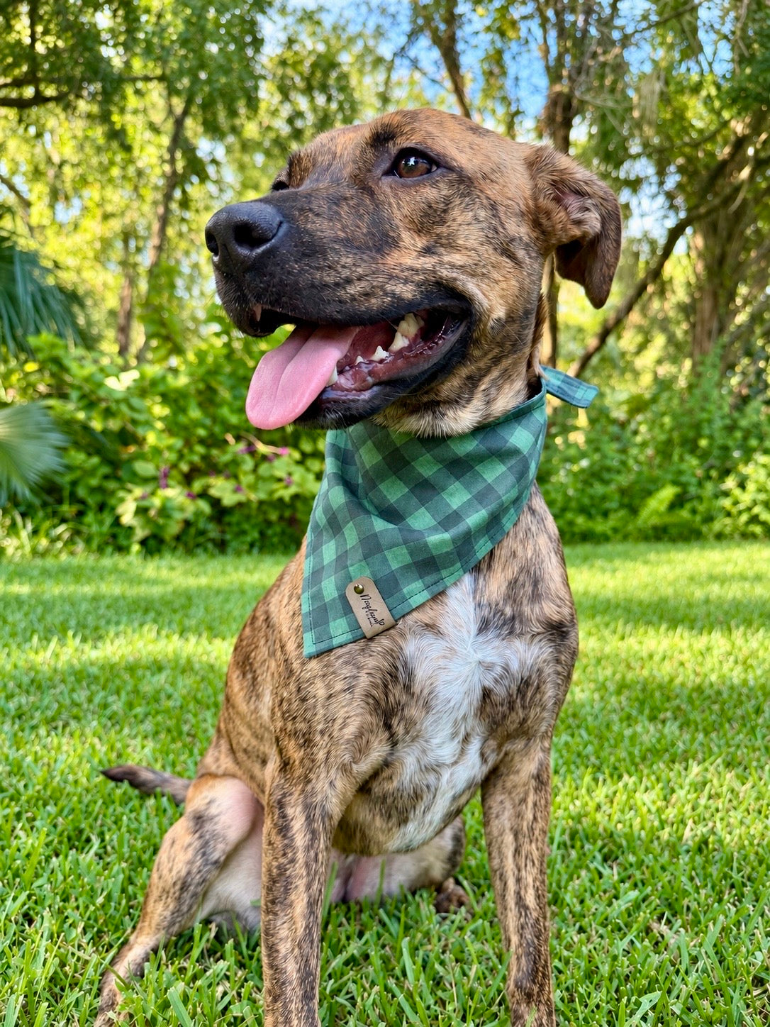 Haunted Woods Plaid Dog Bandana | Fall Dog Bandana