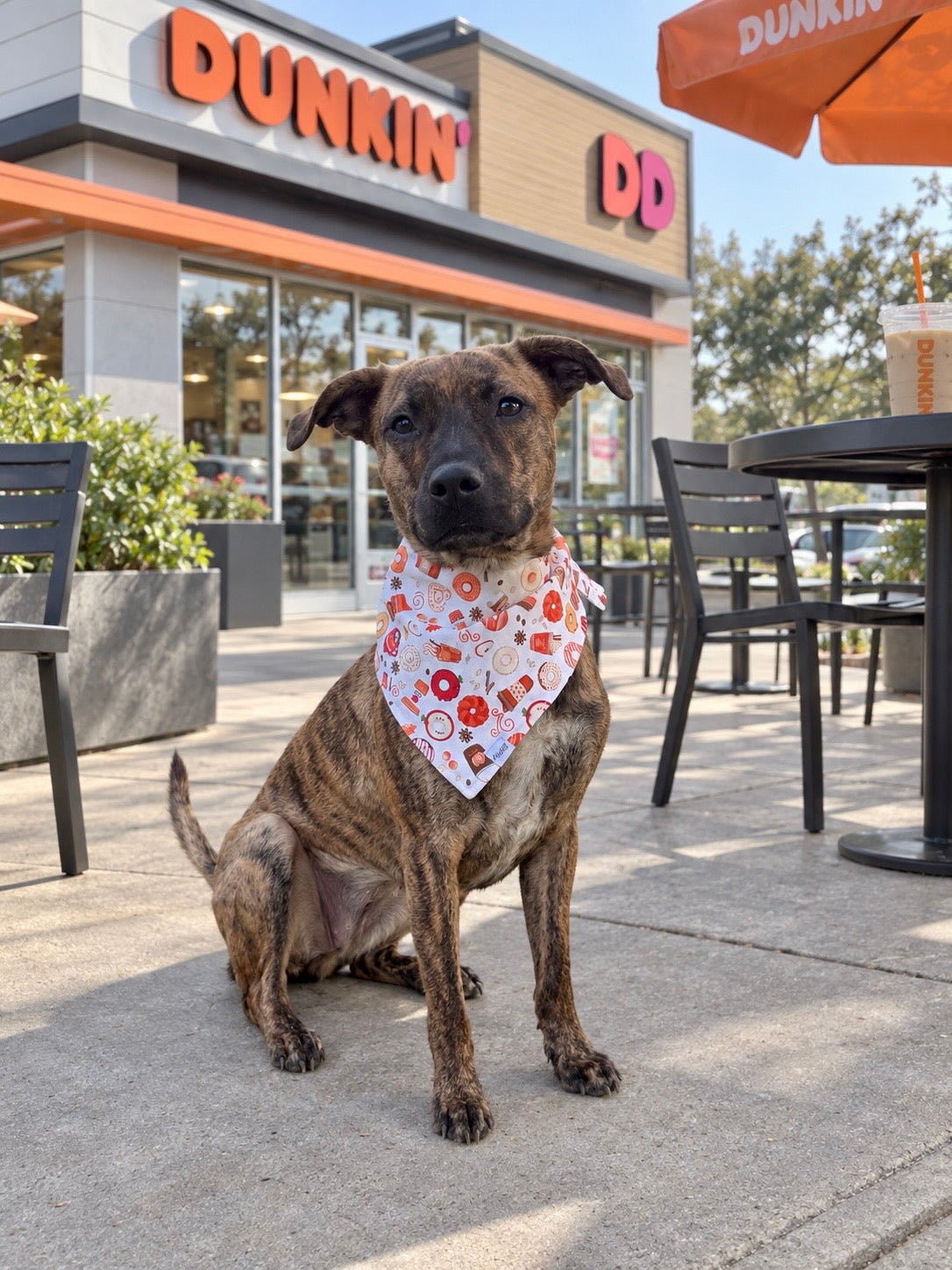 Pumpkin Spice Pup Dog Bandana | Fall Dog Bandana