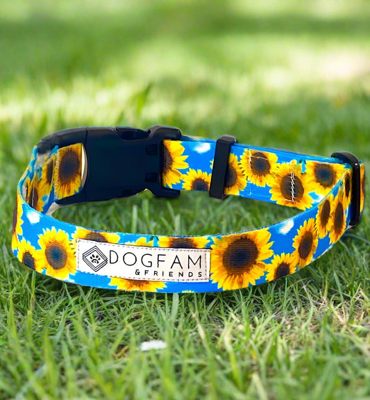 Sunflower Meadows Collar