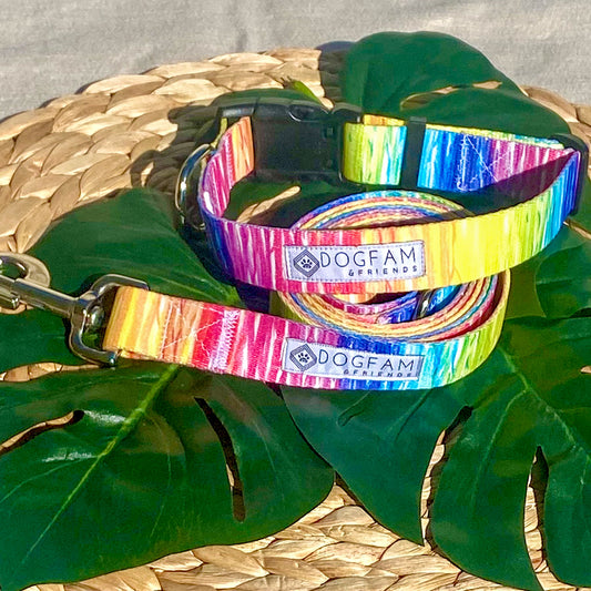 LOVE to Pawty Dog Collar